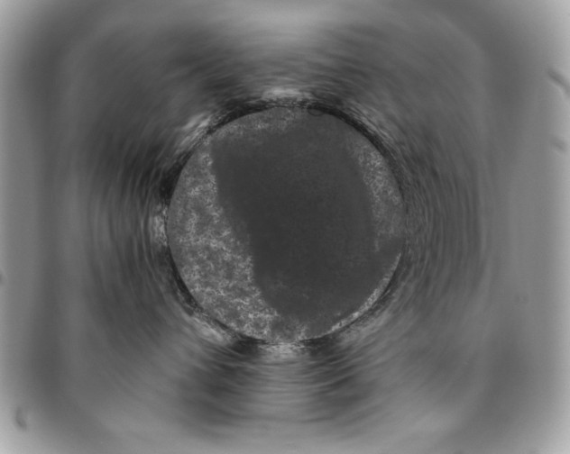 X0000094780432200712071209