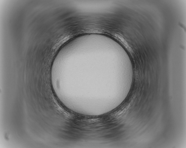 X0000094780433200712071208