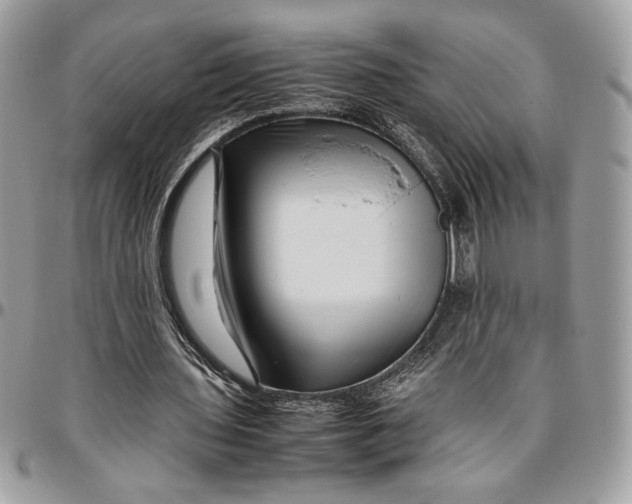 X0000094780435200712071208