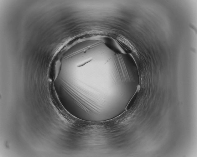 X0000094780436200712071208