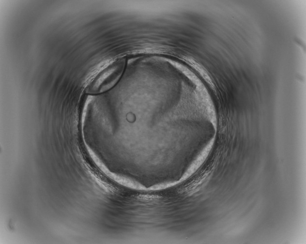 X0000094780437200712071208