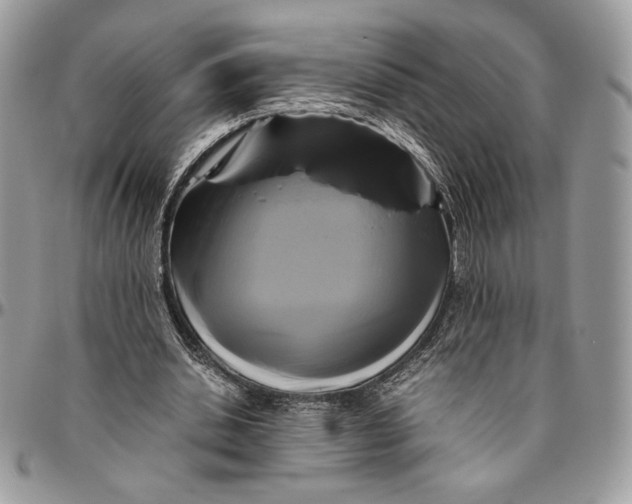 X0000094780438200712071208