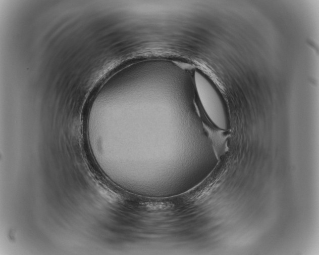 X0000094780439200712071208