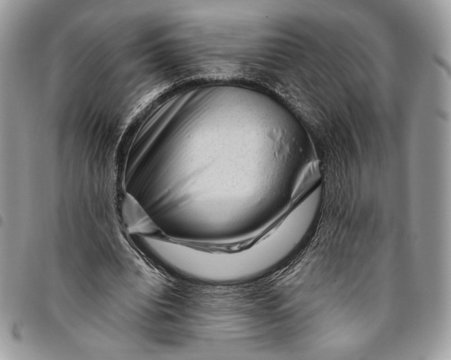 X0000094780440200712071208