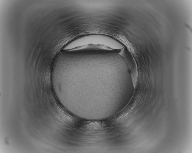 X0000094780441200712071208