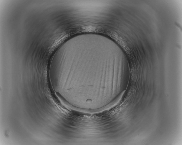 X0000094780442200712071208