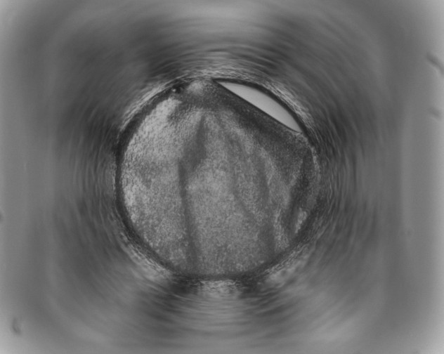 X0000094780446200712071208