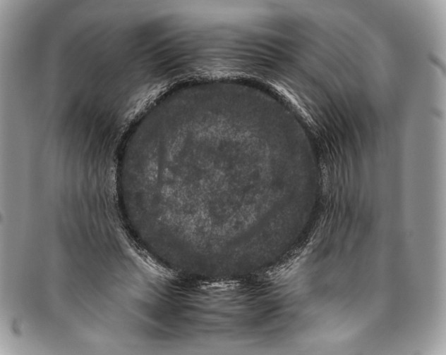 X0000094780447200712071208