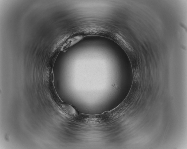 X0000094780448200712071208