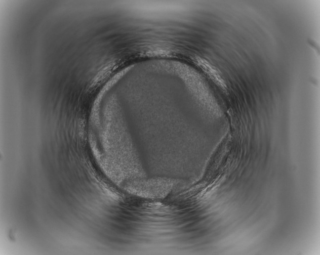 X0000094780449200712071208