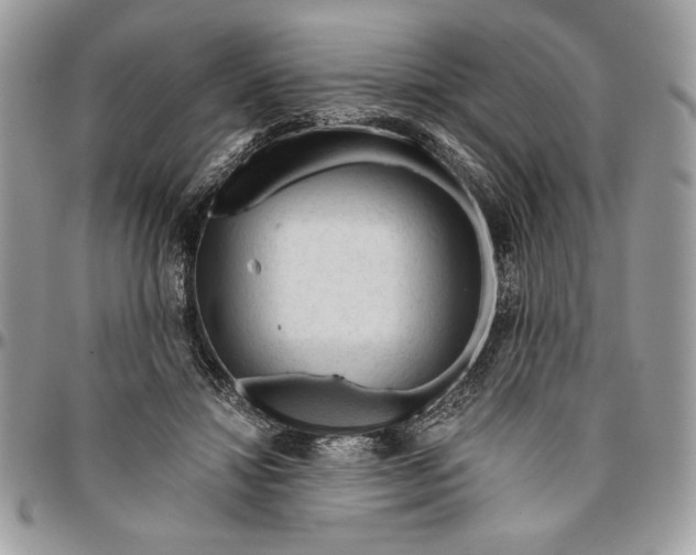 X0000094780452200712071208