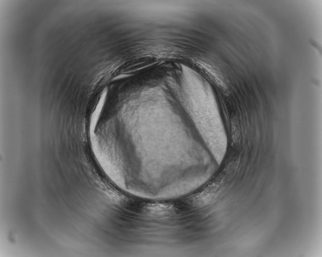 X0000094780453200712071208