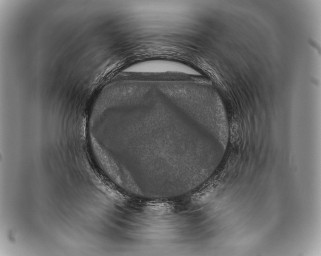 X0000094780454200712071208