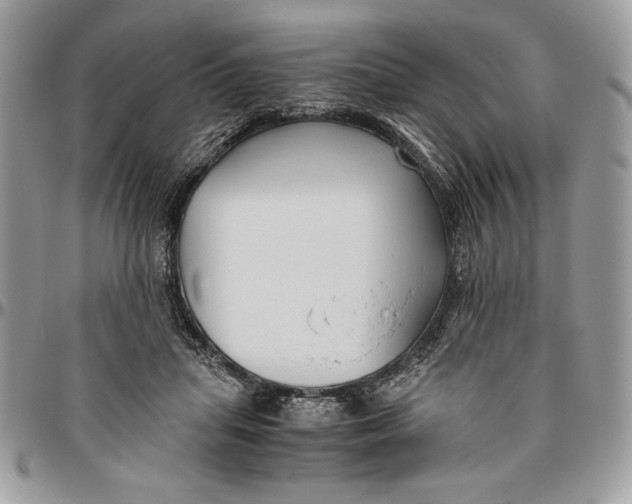 X0000094780455200712071208