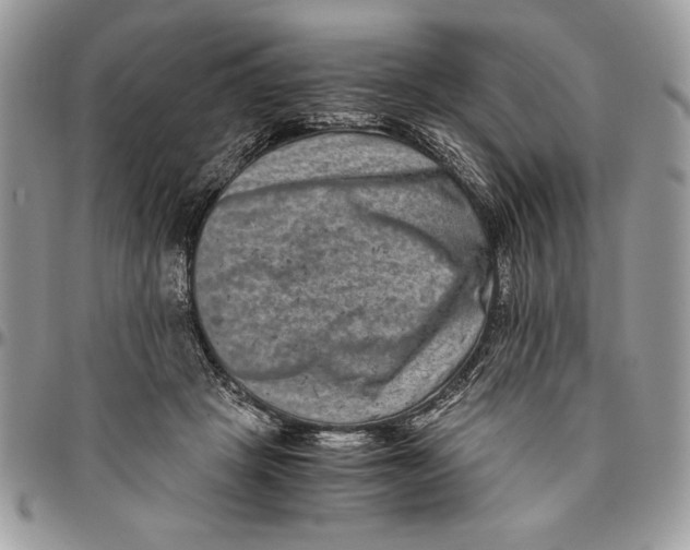 X0000094780457200712071208