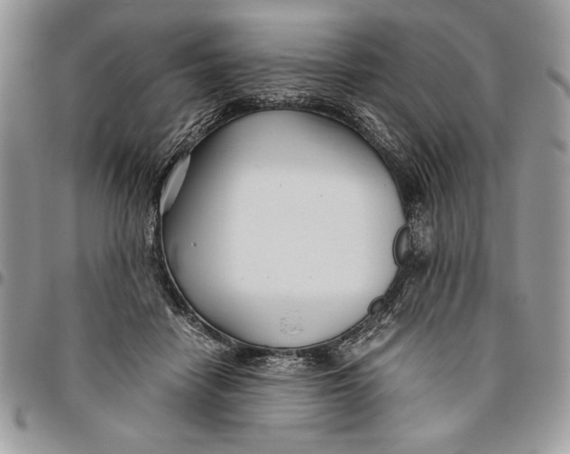 X0000094780458200712071209