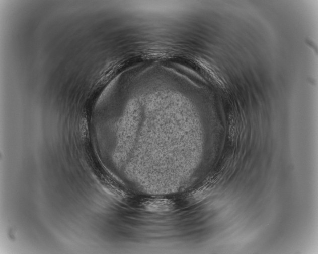 X0000094780459200712071209