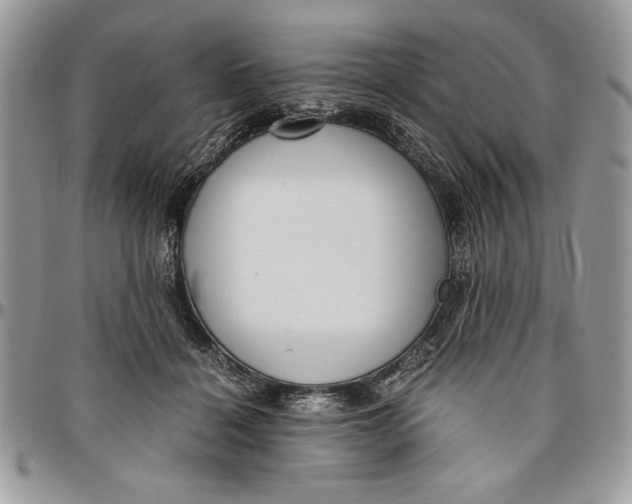 X0000094780460200712071209