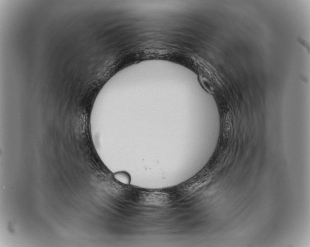 X0000094780463200712071209