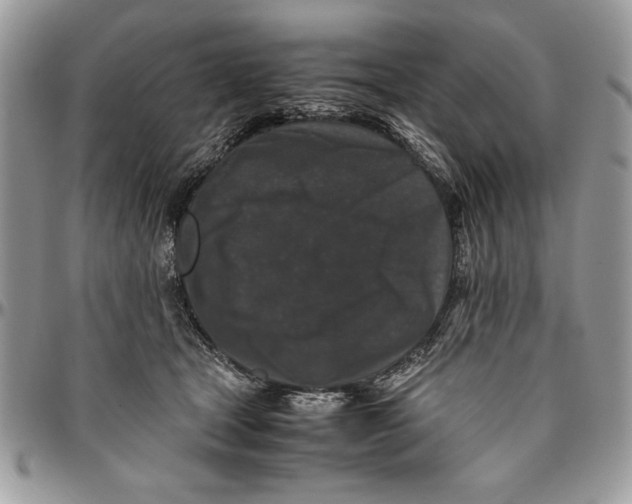 X0000094780465200712071209