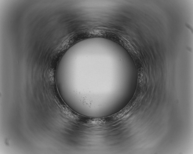 X0000094780466200712071209