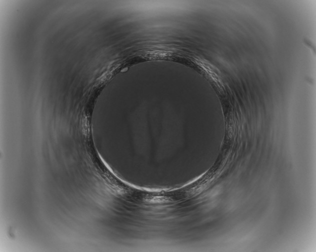 X0000094780467200712071209