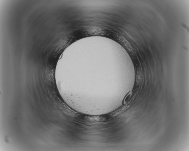 X0000094780473200712071209