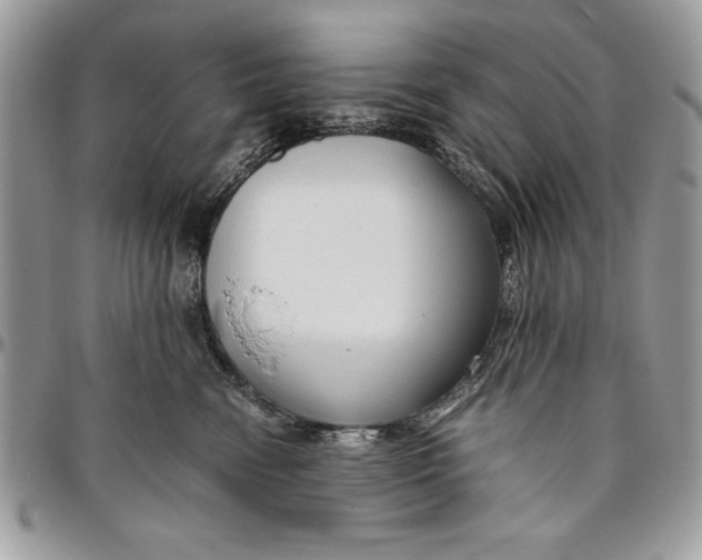 X0000094780474200712071209