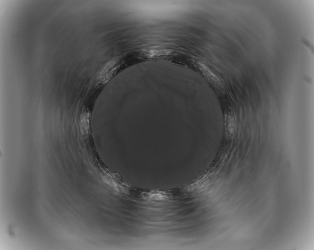 X0000094780475200712071209