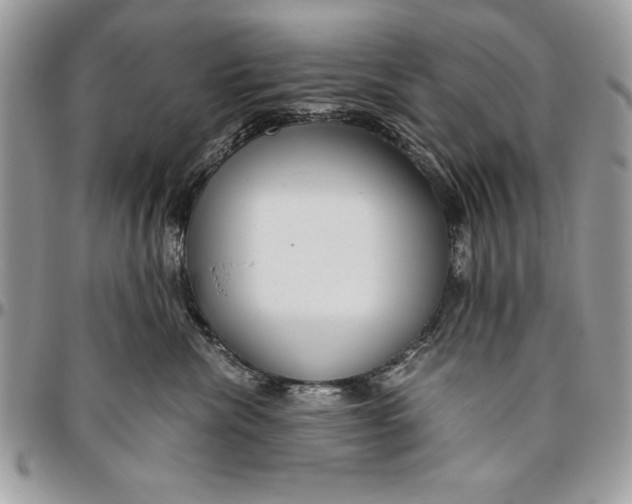 X0000094780476200712071209