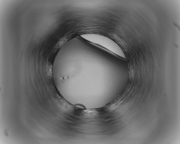 X0000094780477200712071209