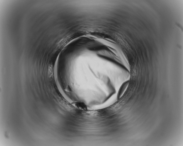 X0000094780478200712071209