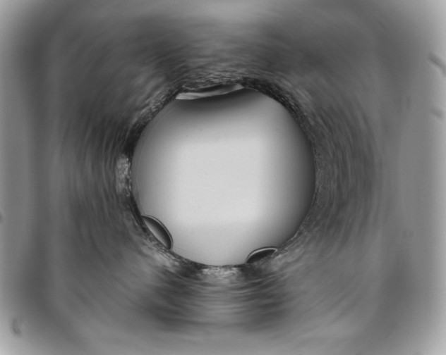 X0000094780480200712071209