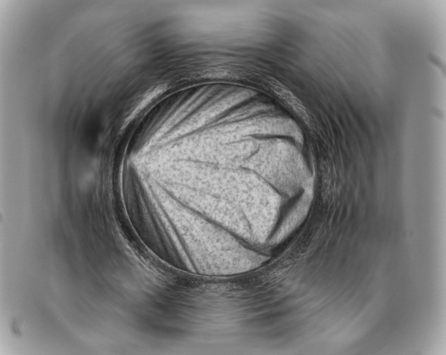 X0000094780482200712071208