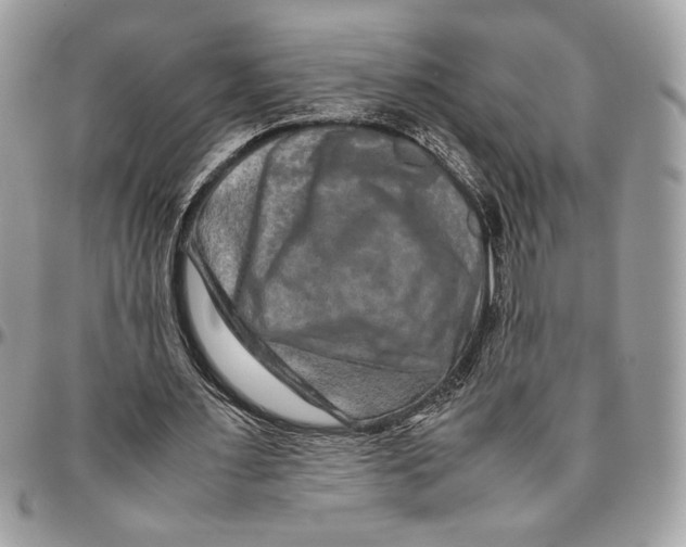 X0000094780483200712071208