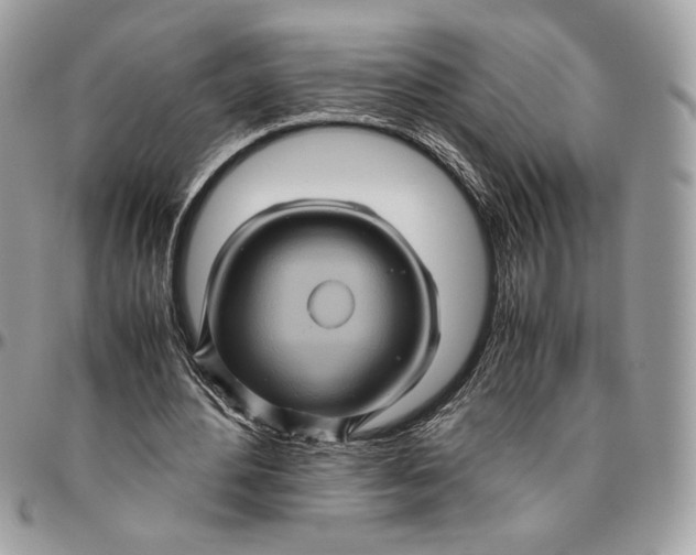 X0000094780484200712071208