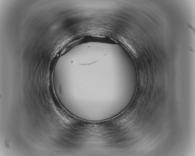 X0000094780486200712071208