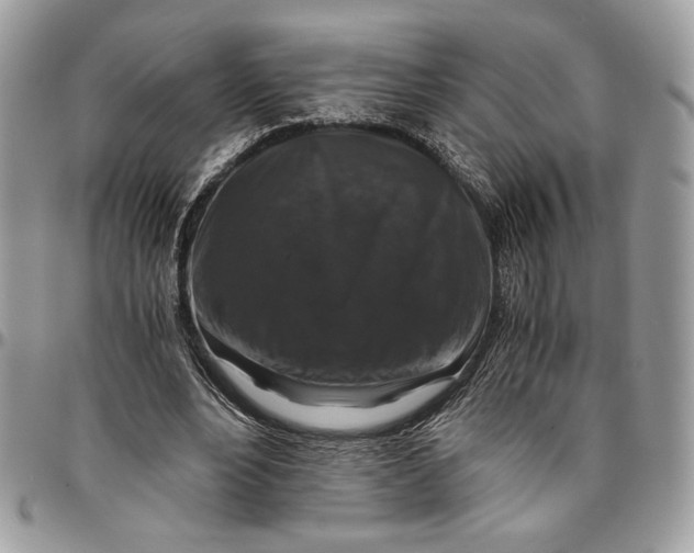 X0000094780488200712071208