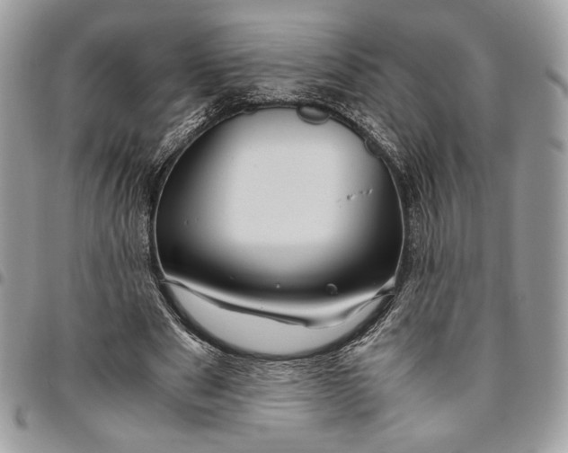 X0000094780489200712071208