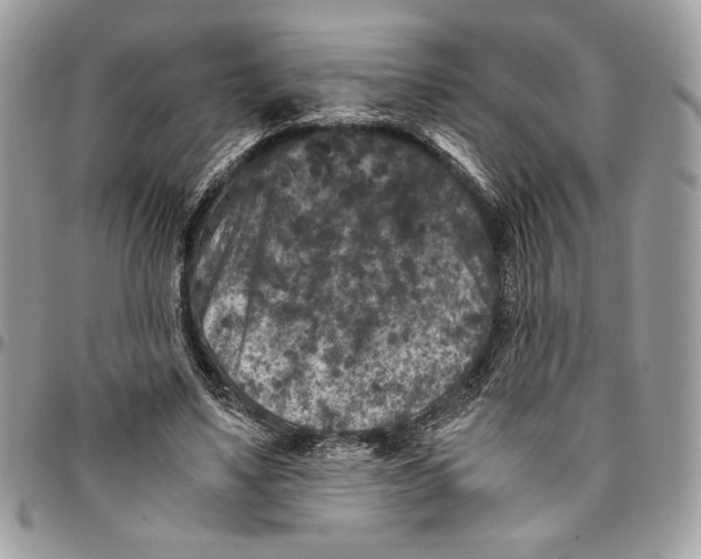 X0000094780491200712071208