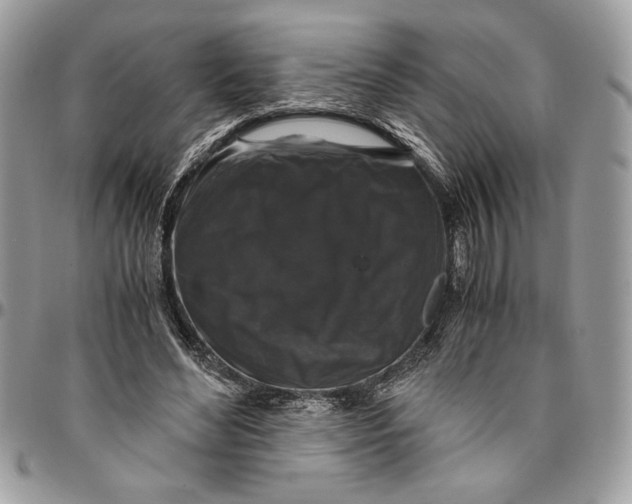 X0000094780492200712071208