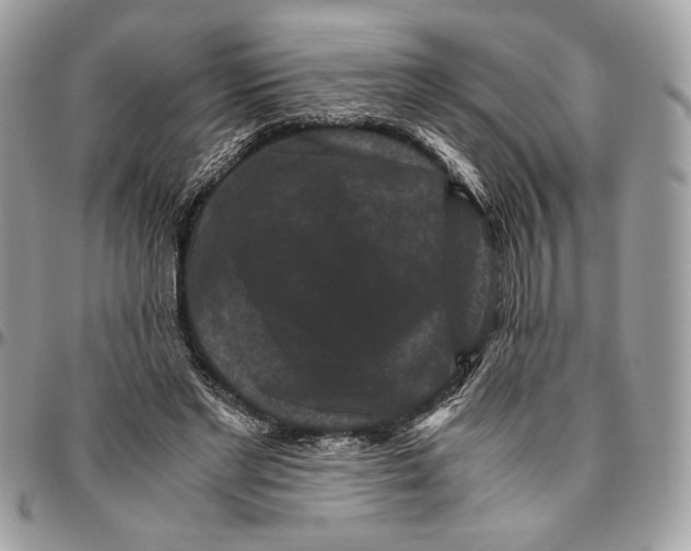 X0000094780493200712071208