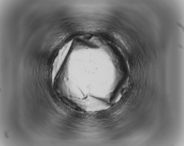 X0000094780495200712071208