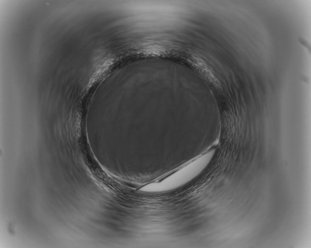 X0000094780496200712071208