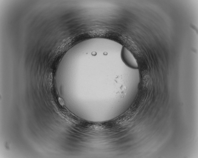 X0000094780498200712071208