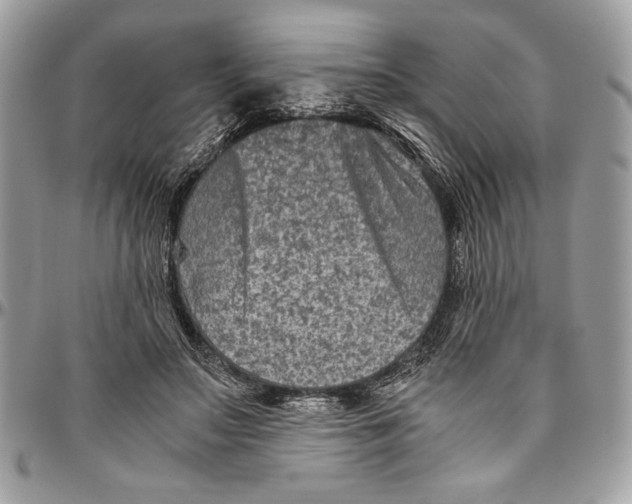 X0000094780499200712071208