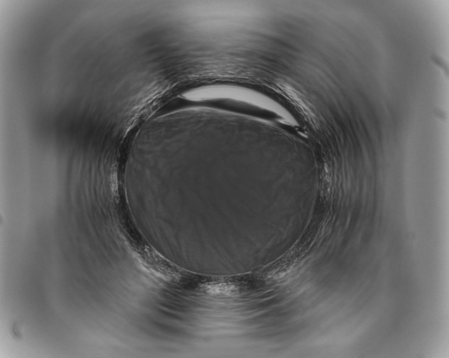 X0000094780500200712071208