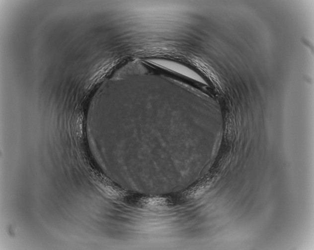 X0000094780501200712071208