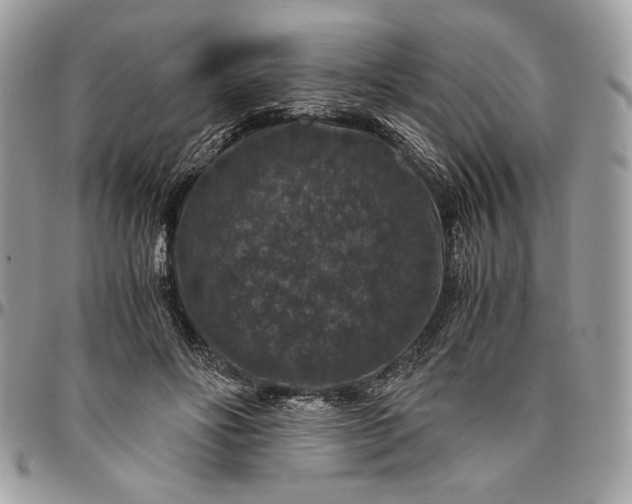 X0000094780502200712071208