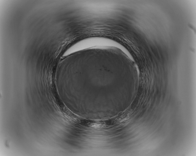 X0000094780504200712071208